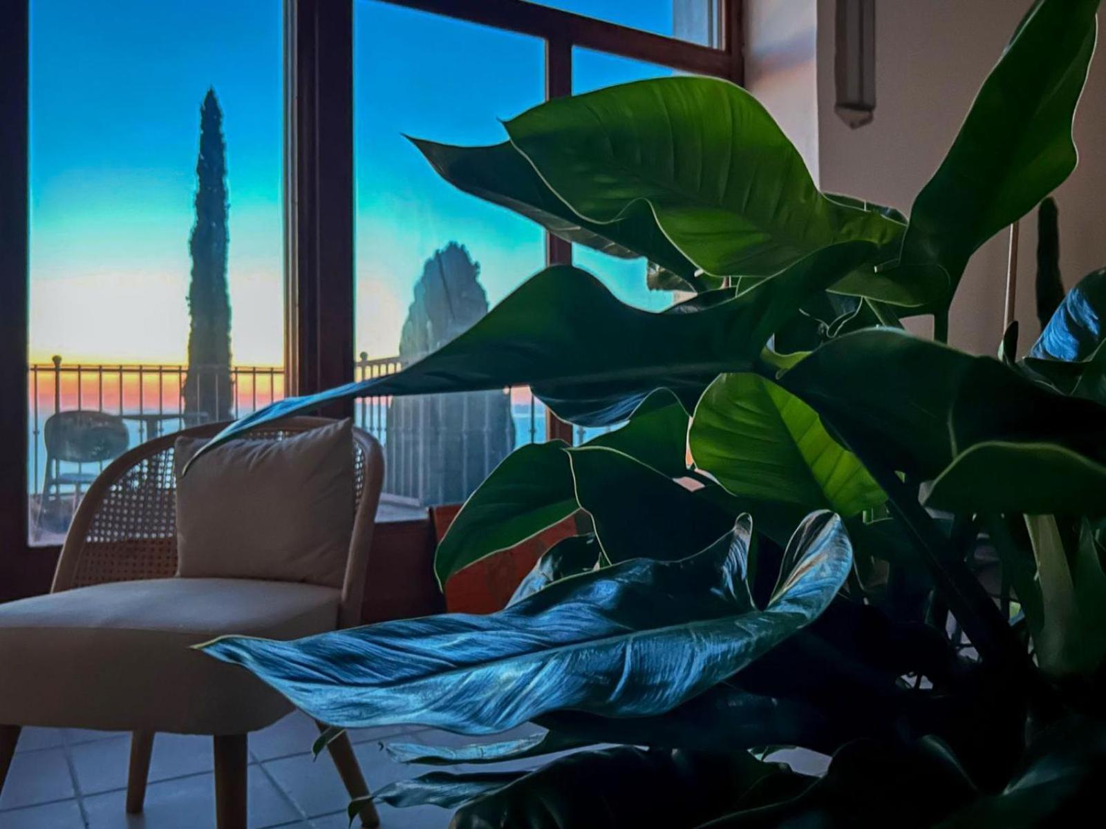 Villa Velta Sea Sunset ポルト・サント・ステーファノ エクステリア 写真
